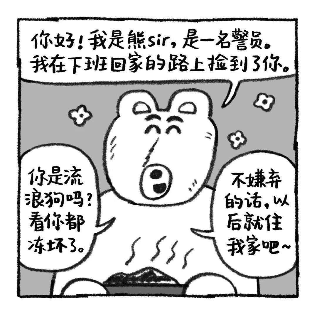 你的狗怪怪的 关于阿歹的铁饭碗是怎么来的 第12页