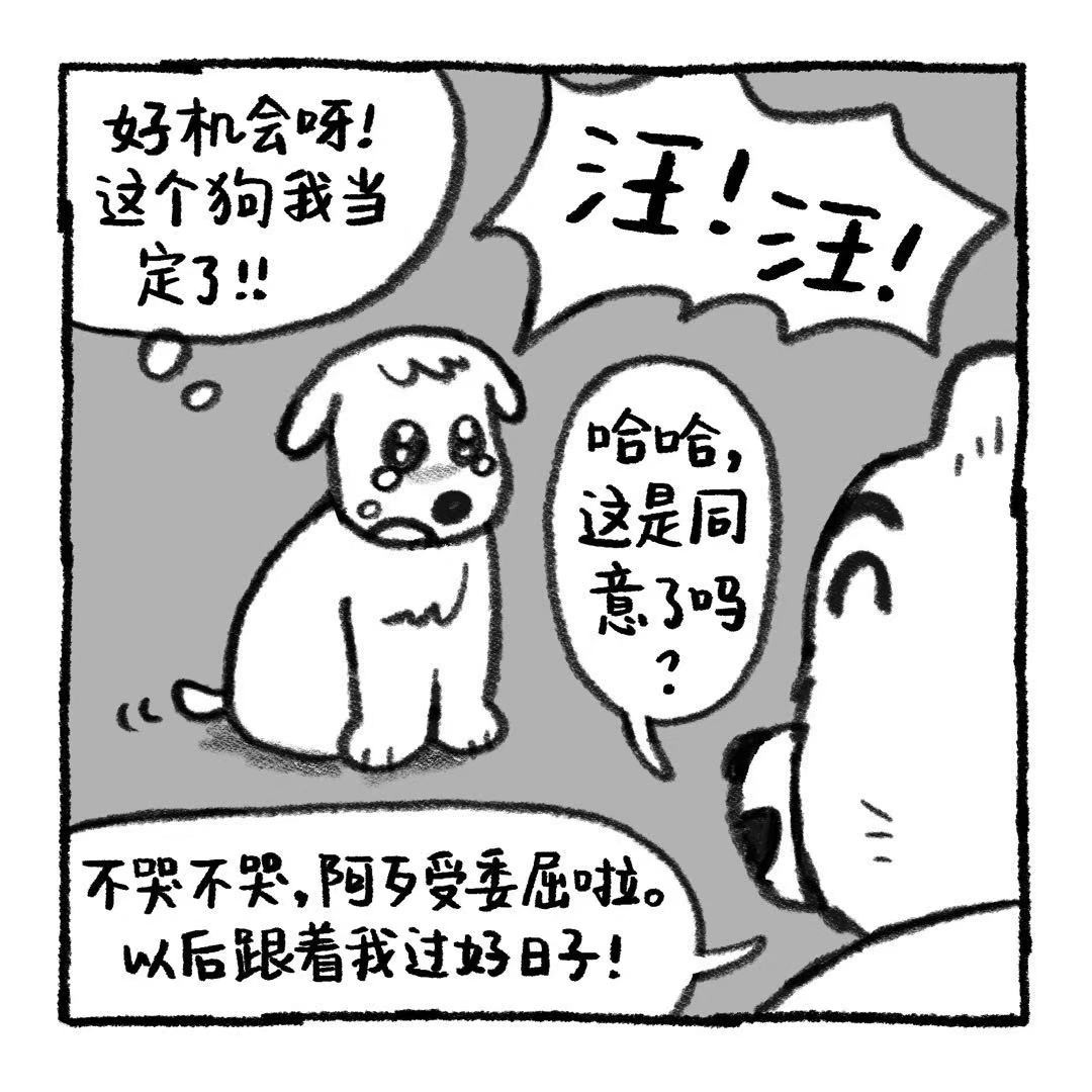 你的狗怪怪的 关于阿歹的铁饭碗是怎么来的 第13页