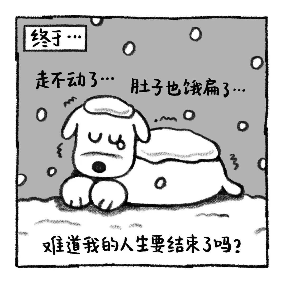 你的狗怪怪的 关于阿歹的铁饭碗是怎么来的 第8页