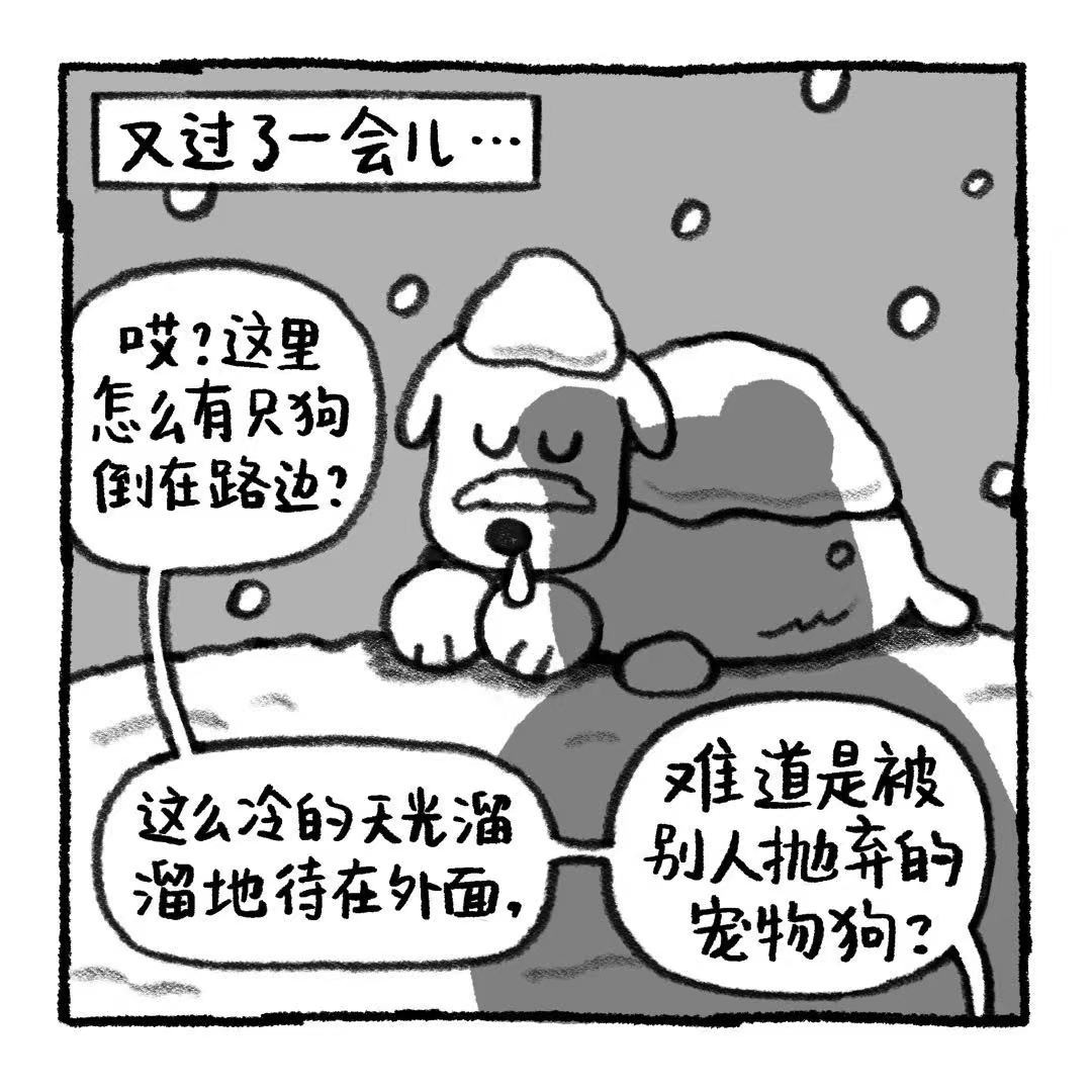 你的狗怪怪的 关于阿歹的铁饭碗是怎么来的 第9页
