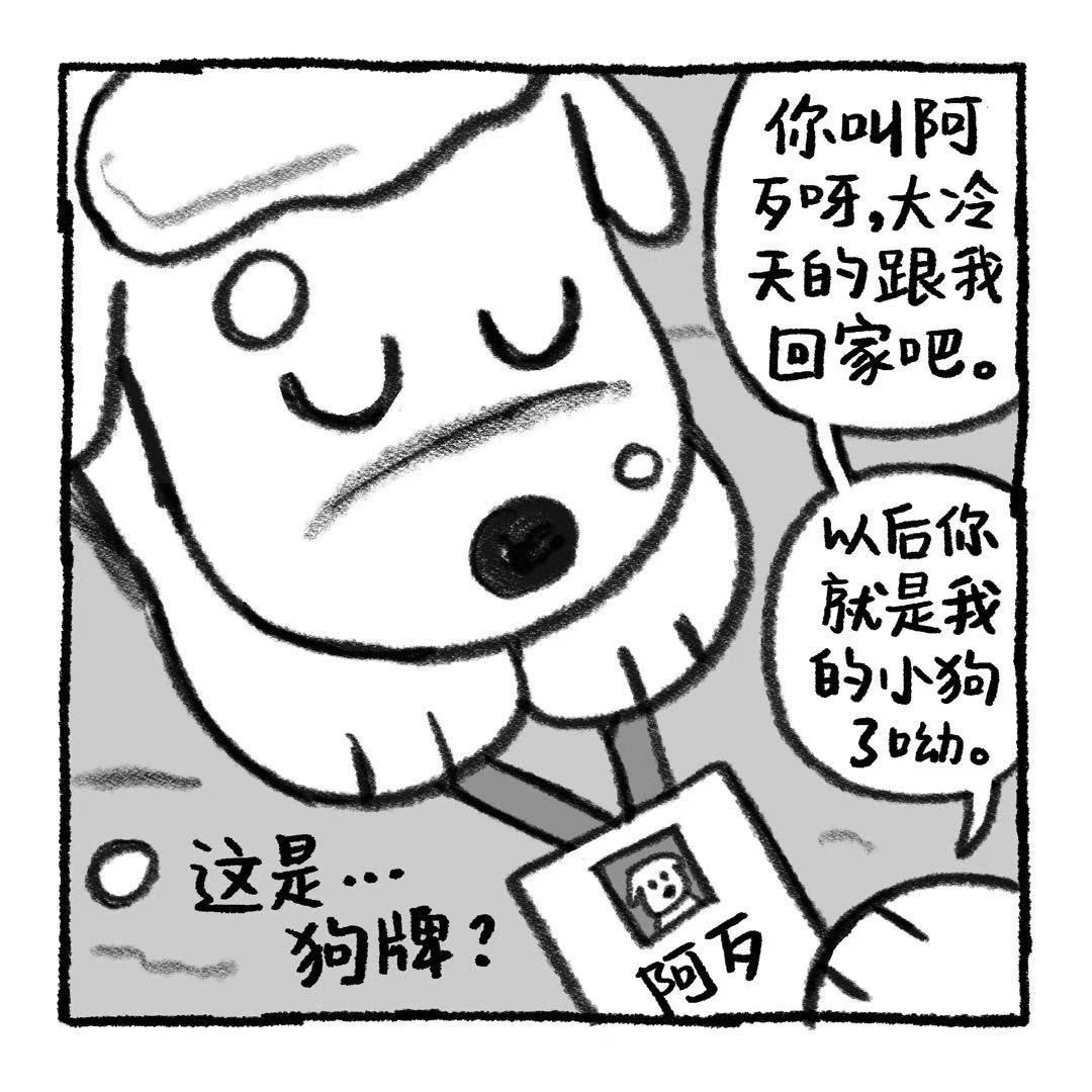 你的狗怪怪的 关于阿歹的铁饭碗是怎么来的 第10页