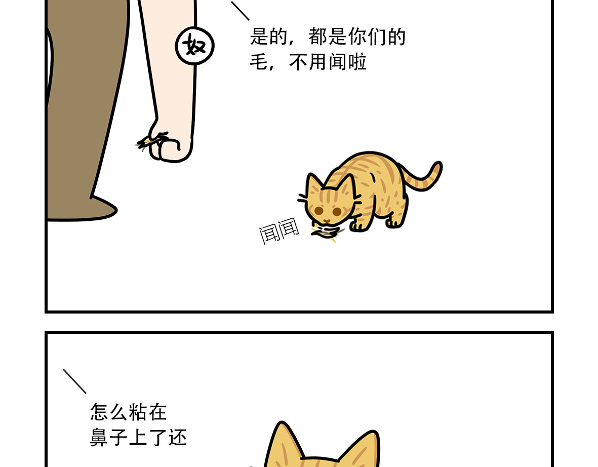 么一嗷喵（卷二） 【216-218】话 第2页