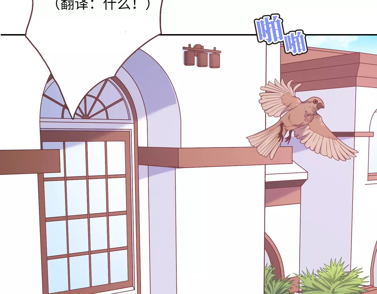 城市王子与土著少女 第3话 豪门千金 第10页