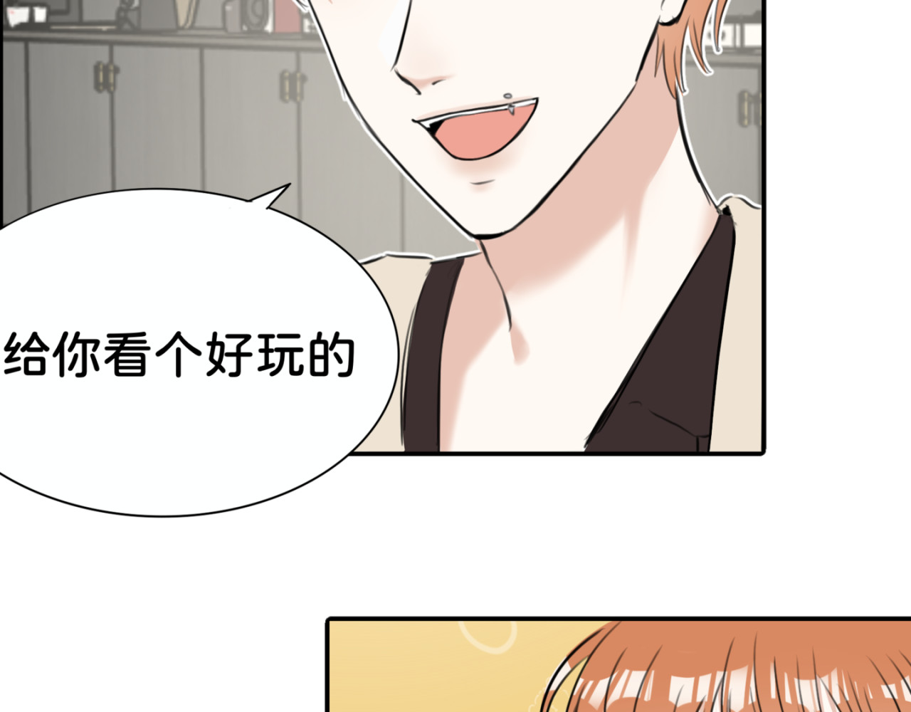 橘子味的合租日记 新室友变成了一个小橘子？？！ 第41页
