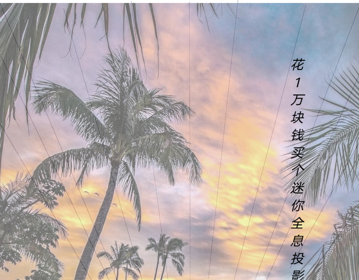  门 越狱计划 第57页
