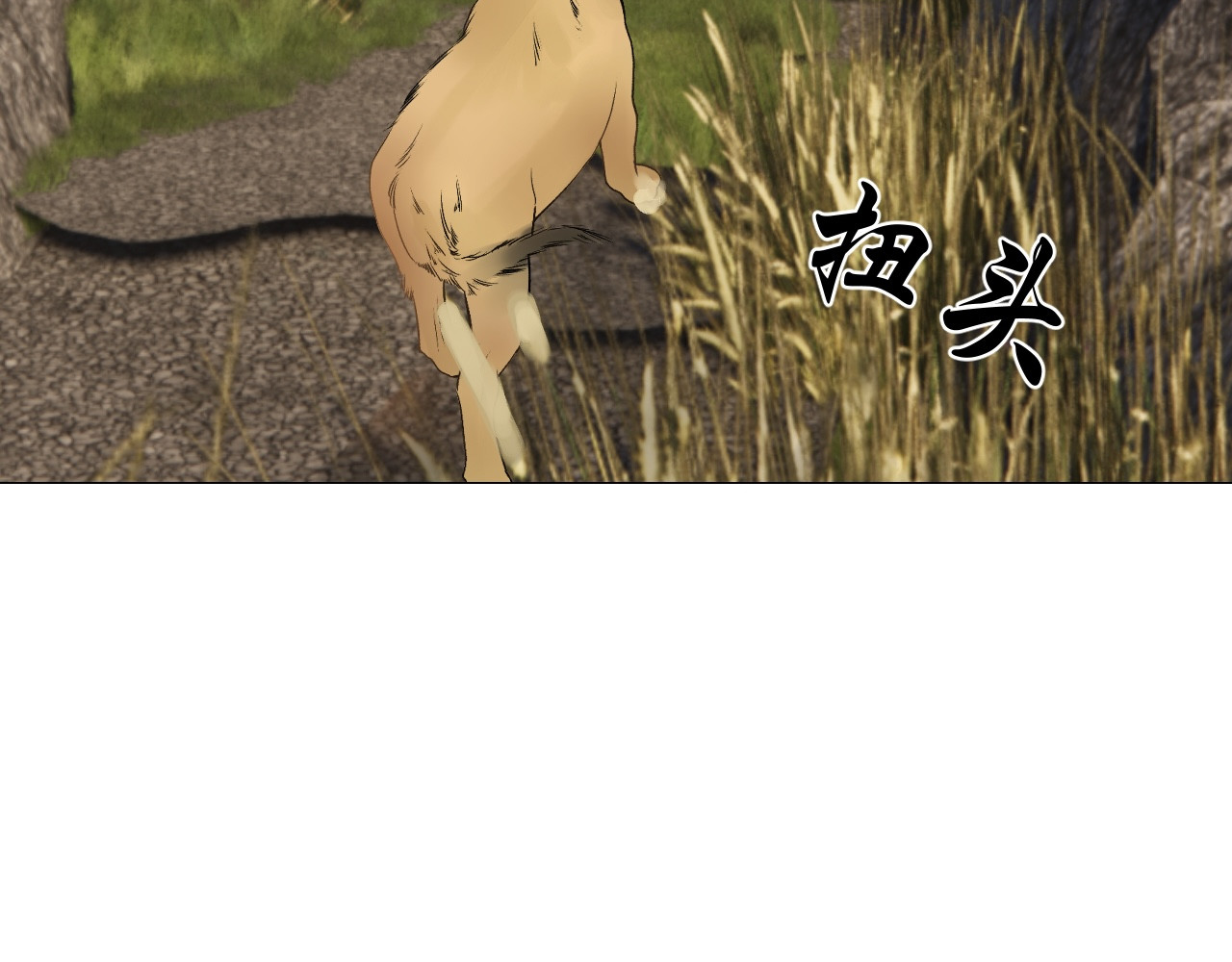 姽婳录 雾隐村4 第24页