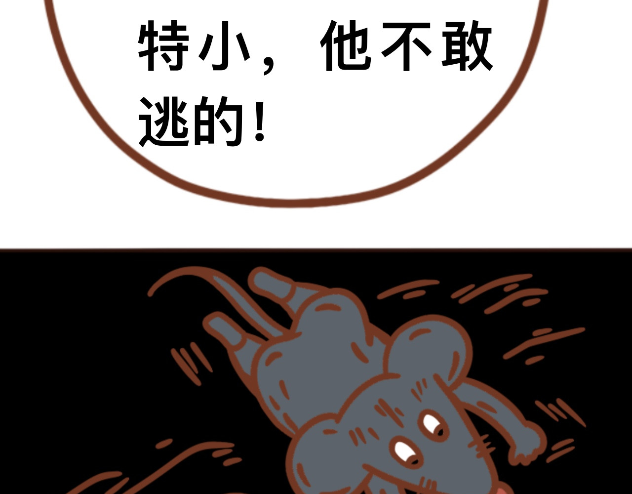 猫鼠之战 第三章节 他跑了 第15页