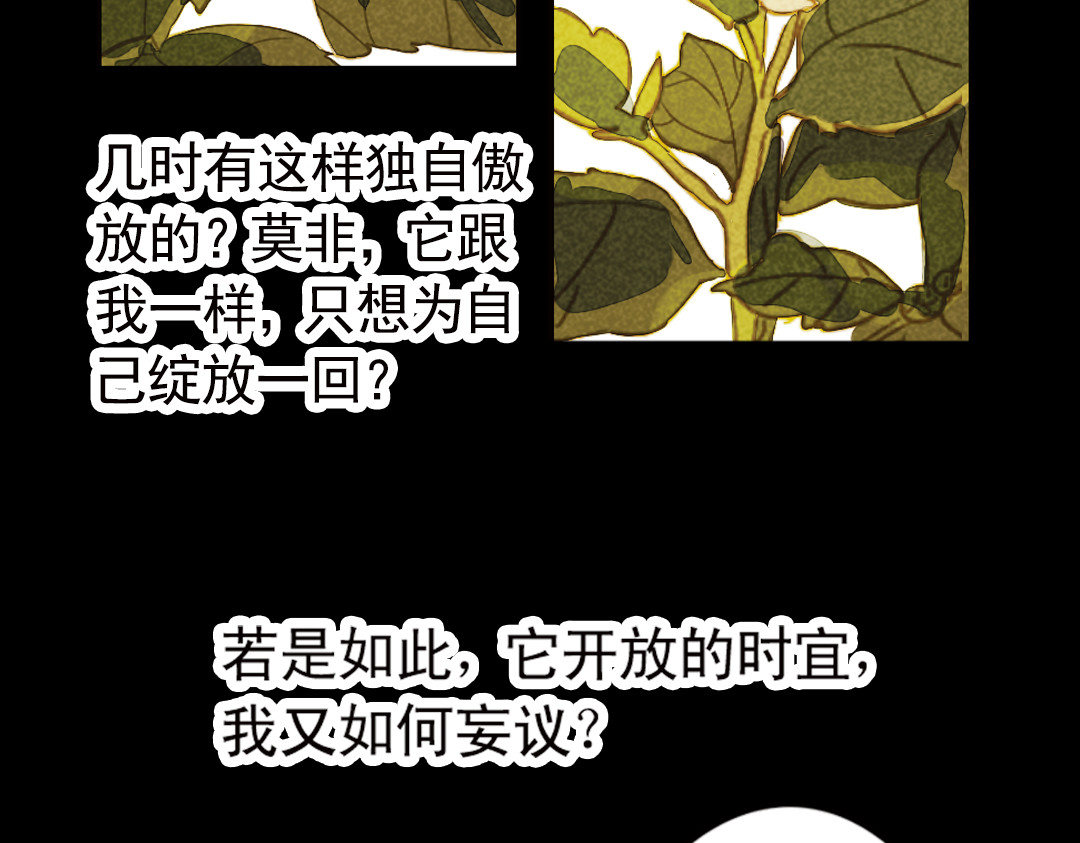 甄嬛传·叙花列 第5话 叙花列·菊（一） 第82页